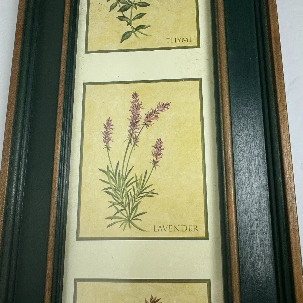 Vintage Country Style Picture Featuring Herbs Wall Decor Set of 2 Botanical ART